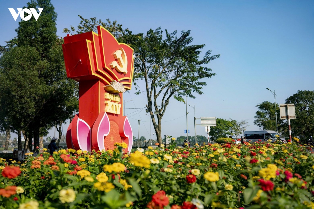 hue ruc ro co hoa chao mung Dai hoi xiv cua Dang hinh anh 9