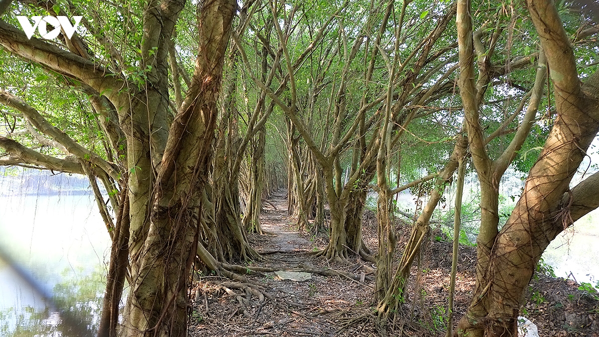 Dong tuyet son, cung duong trekking son thuy huu tinh tai chua huong hinh anh 20