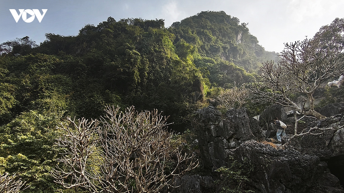 Dong tuyet son, cung duong trekking son thuy huu tinh tai chua huong hinh anh 5