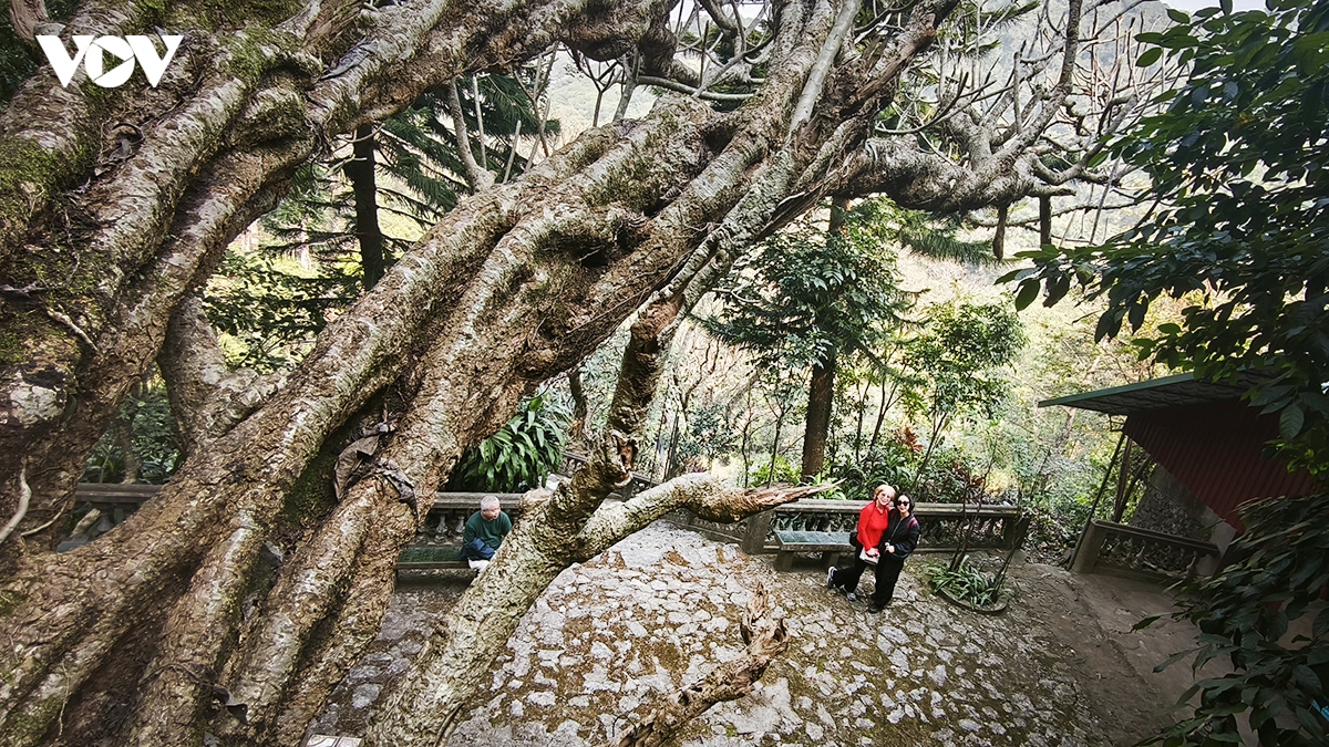 Dong tuyet son, cung duong trekking son thuy huu tinh tai chua huong hinh anh 12