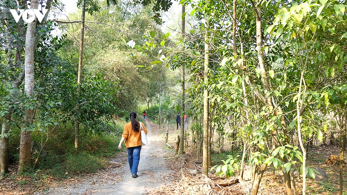 Dong tuyet son, cung duong trekking son thuy huu tinh tai chua huong hinh anh 13