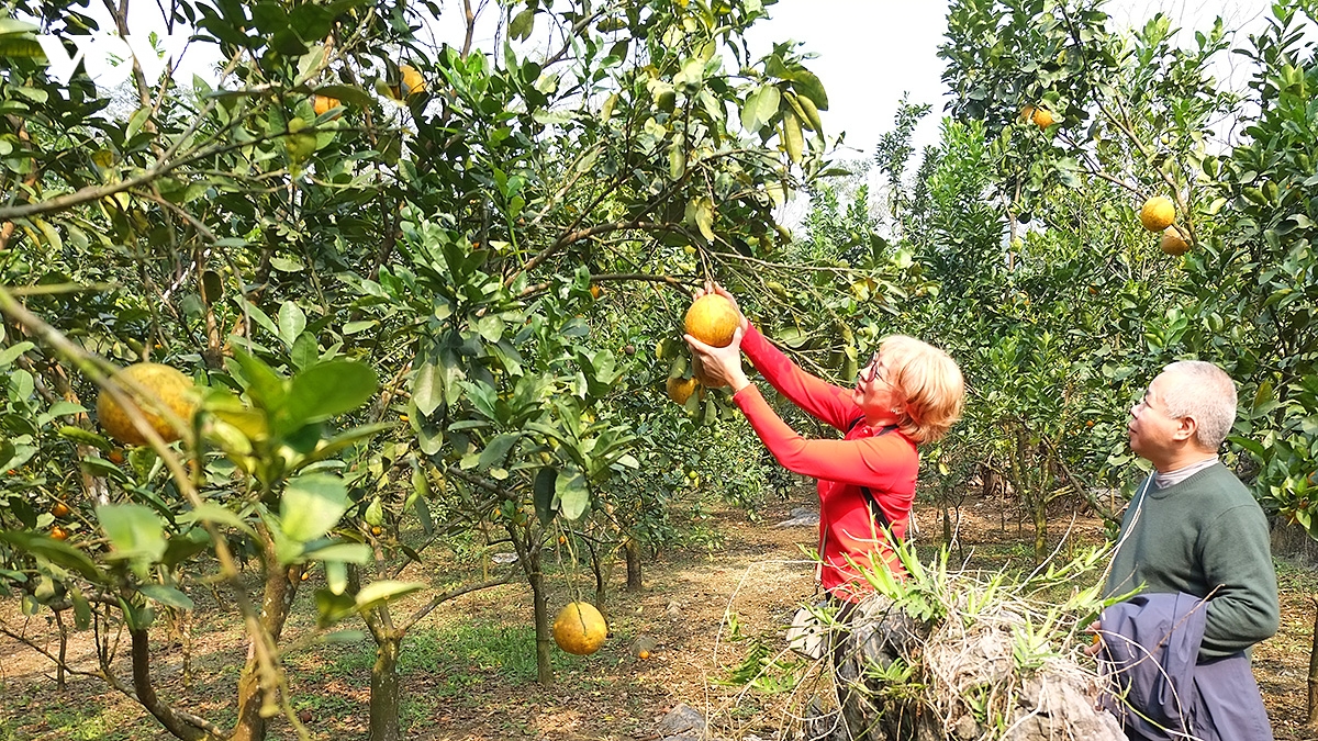 Dong tuyet son, cung duong trekking son thuy huu tinh tai chua huong hinh anh 14