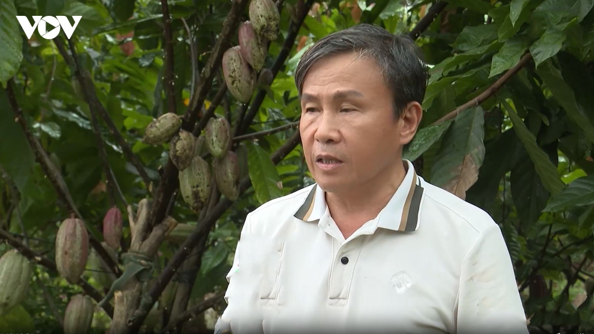 huong ve Dai hoi xiv ky vong co che thoang de nong nghiep cat canh hinh anh 3