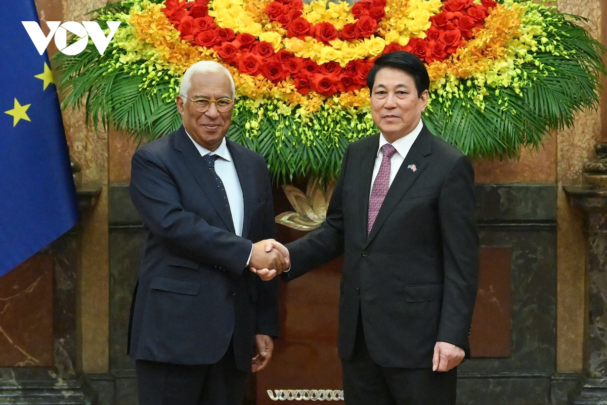 tuyen bo chung viet nam - eu nang cap quan he len Doi tac chien luoc toan dien hinh anh 1