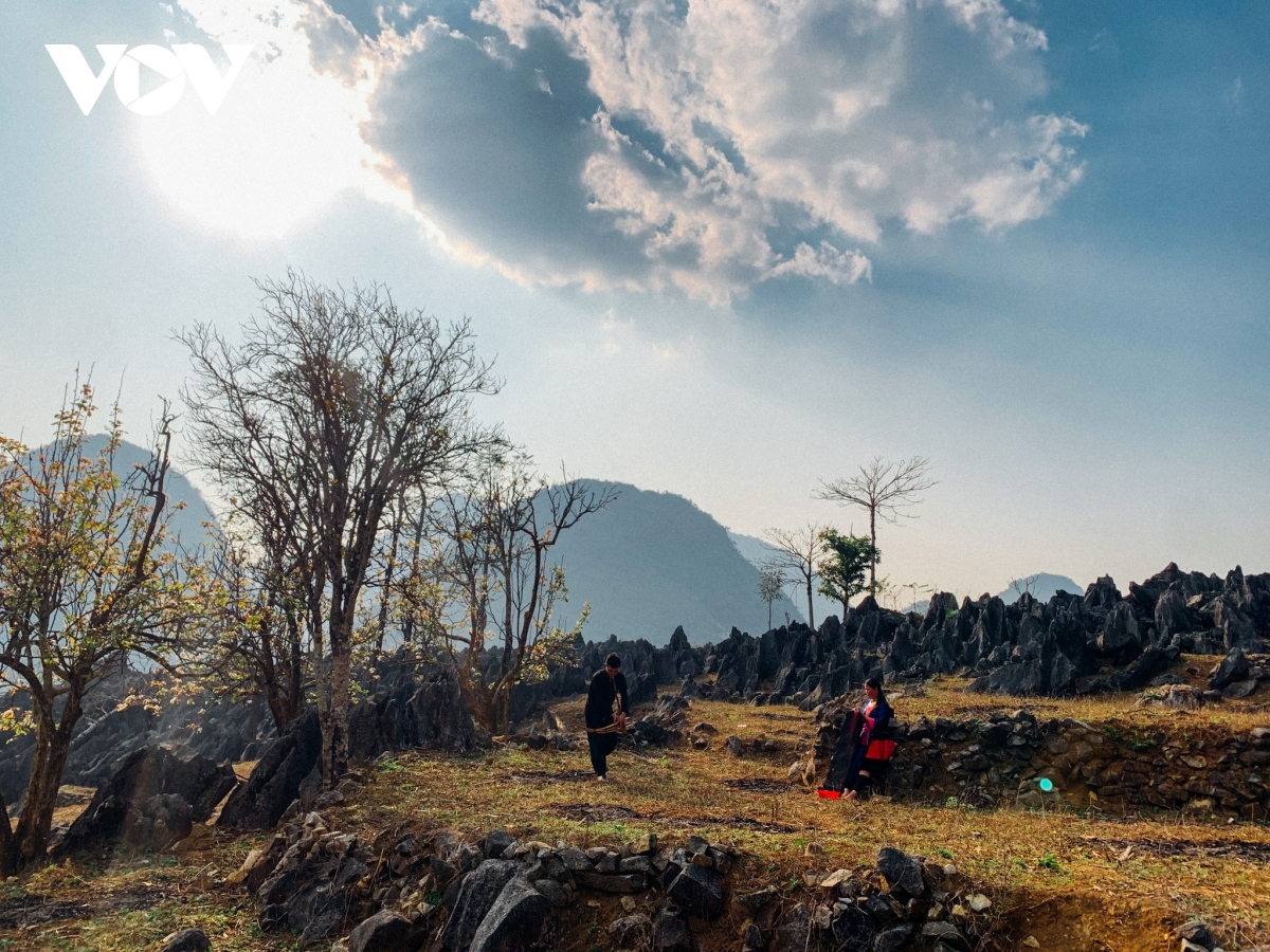 det tinh yeu van hoa dan toc tu nghe ve sap ong cua nguoi mong o Dien bien hinh anh 7