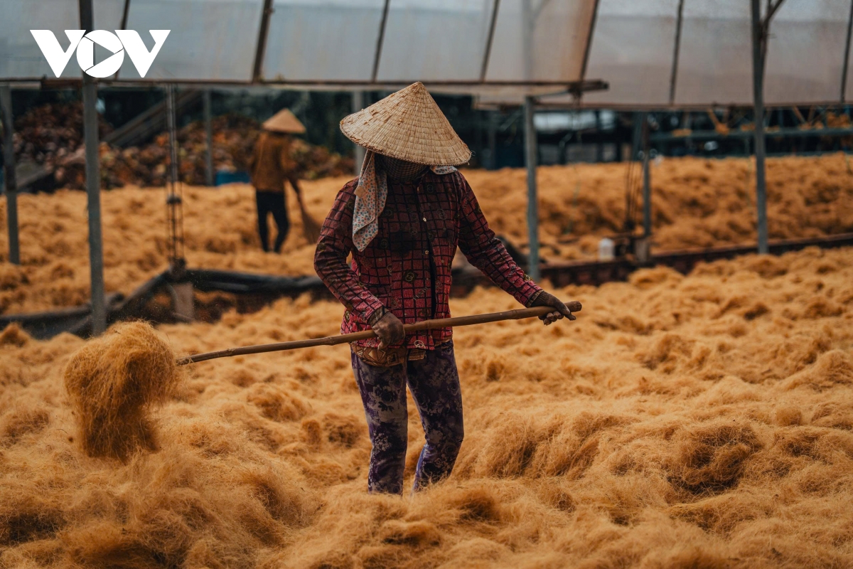 can canh lang nghe chi xo dua an thanh ben dong song thom hinh anh 5