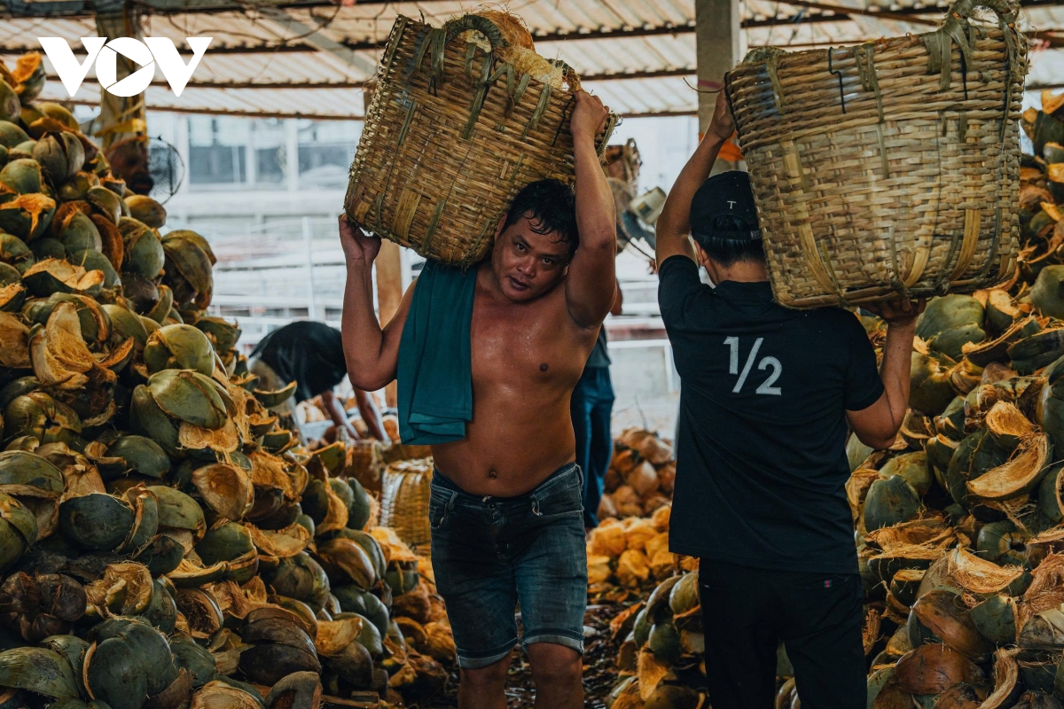 can canh lang nghe chi xo dua an thanh ben dong song thom hinh anh 4