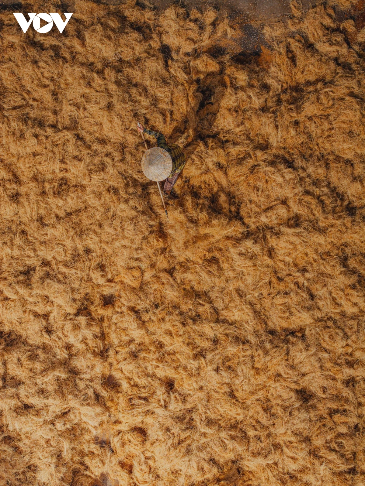 can canh lang nghe chi xo dua an thanh ben dong song thom hinh anh 7