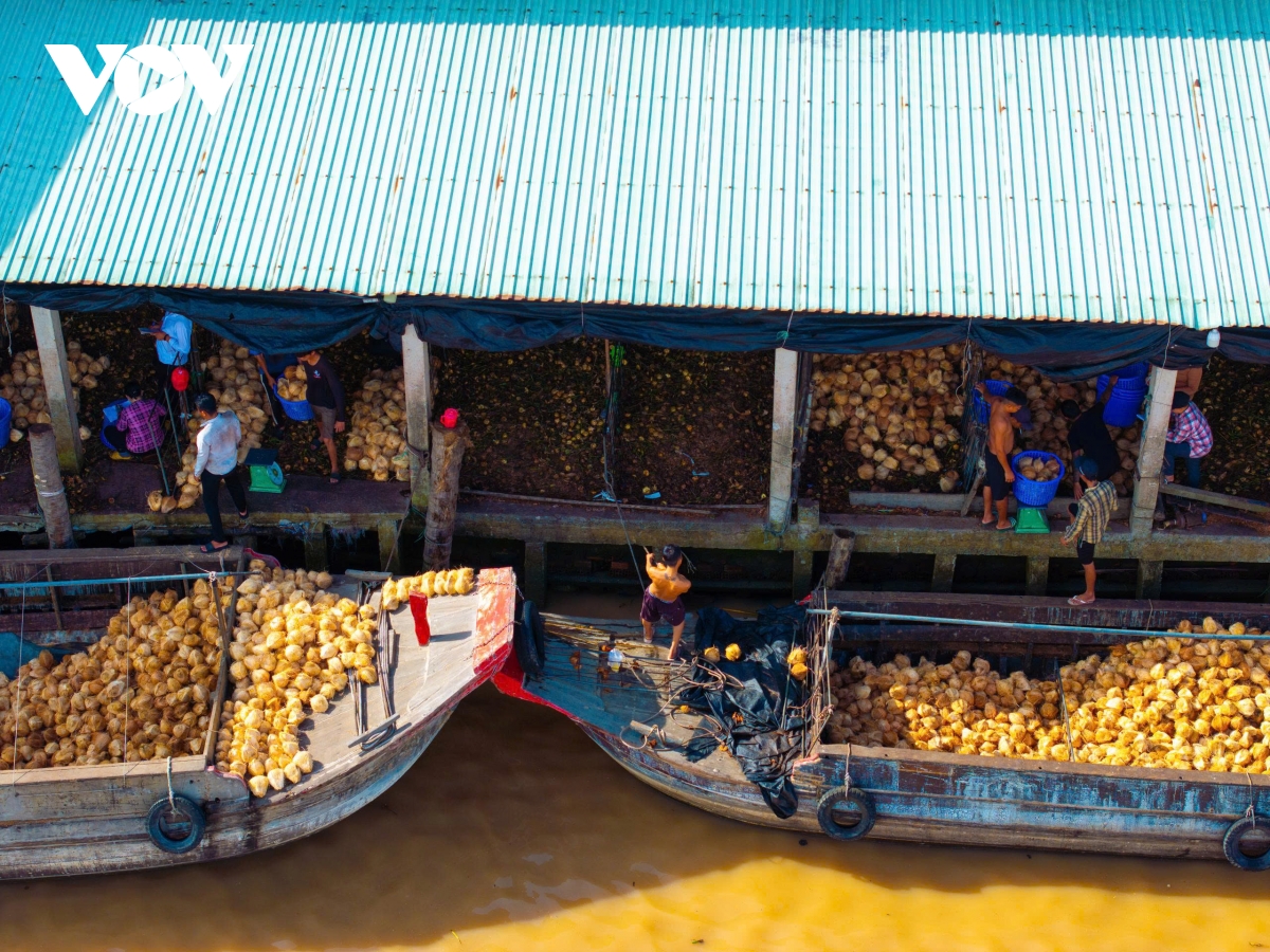 can canh lang nghe chi xo dua an thanh ben dong song thom hinh anh 2