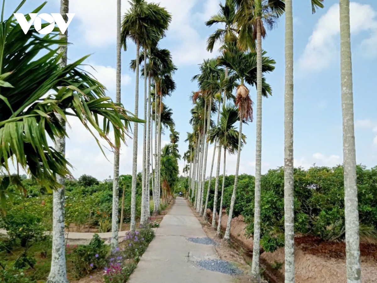 can tho ra soat, nang cao chat luong xay dung nong thon moi tren dia ban cac xa hinh anh 1