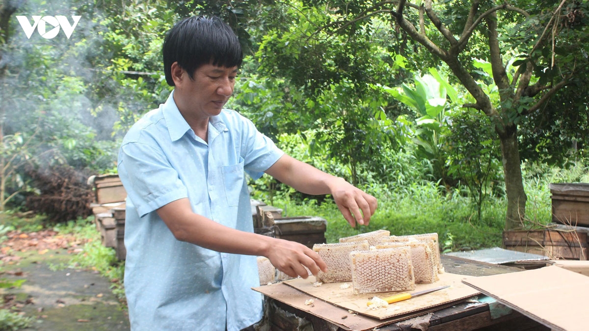huong ve Dai hoi xiv ky vong co che thoang de nong nghiep cat canh hinh anh 1