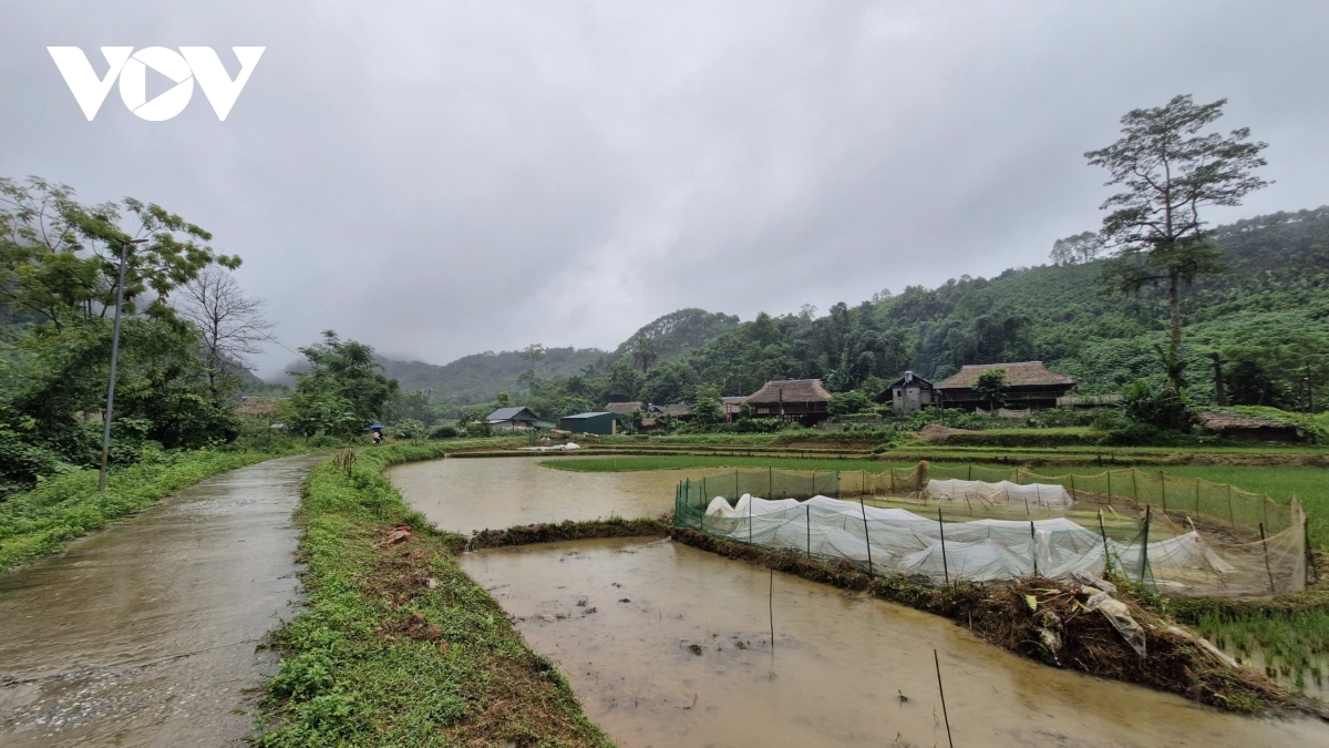 lao cai con bao nhieu thon, xa dac biet kho khan giai doan 2026-2030 hinh anh 1