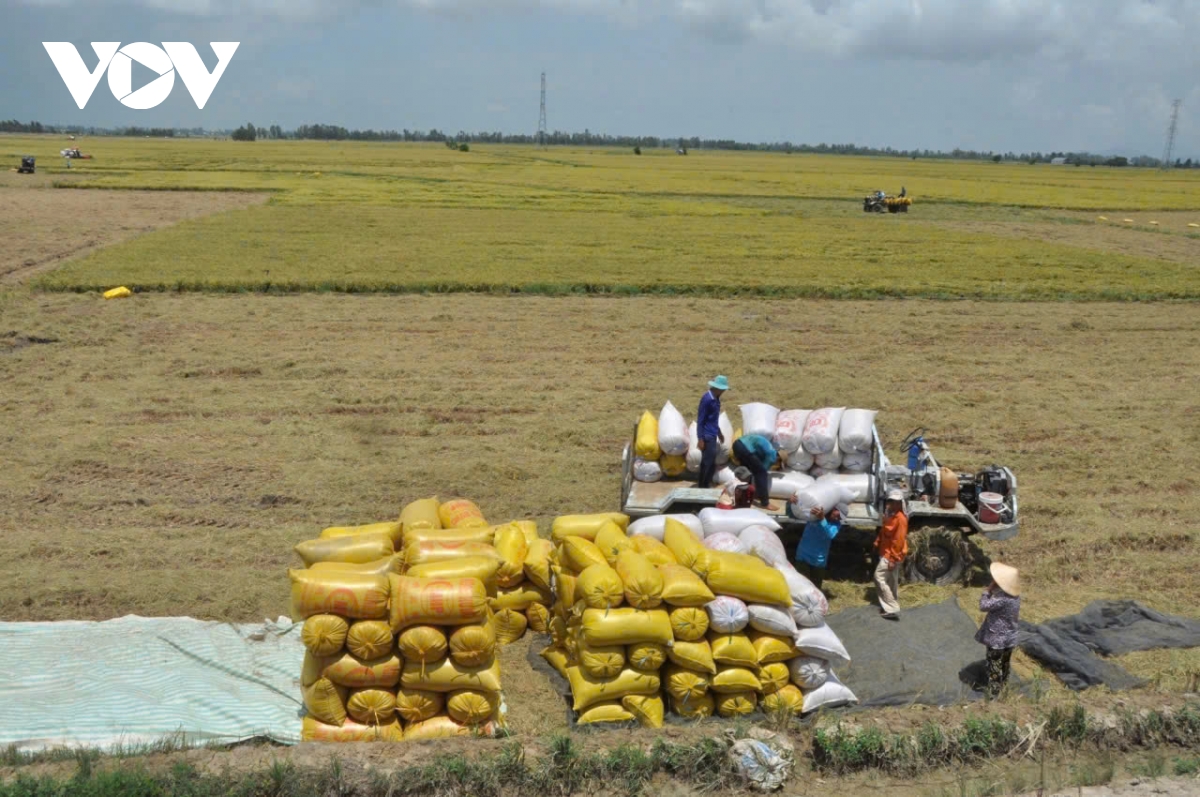 Chính sách, Nghị quyết của Đảng dẫn dắt sản xuất nông nghiệp ĐBSCL tạo đột phá