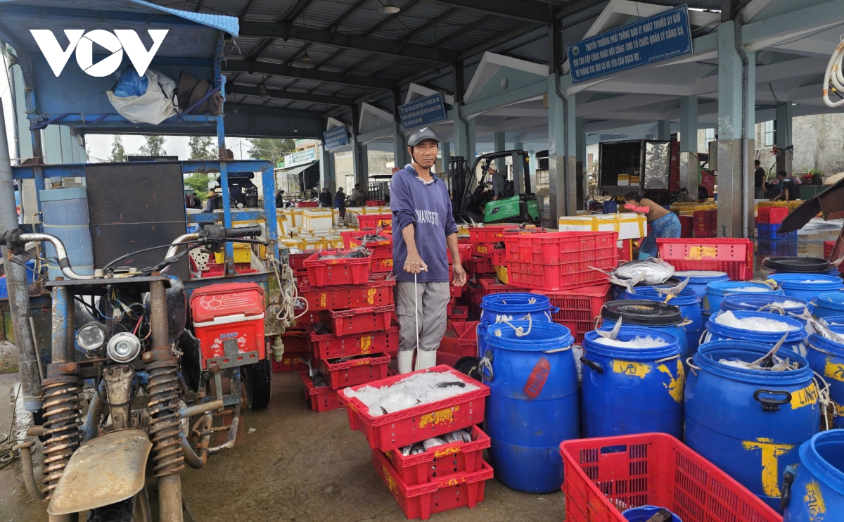 bam bien ngay giap tet nhip muu sinh, niem tin cua ngu dan quang ngai hinh anh 3
