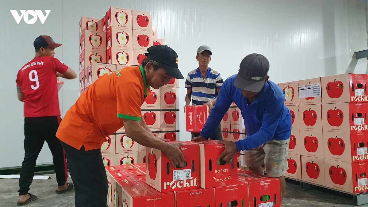 kho lanh cho thua cho thieu va bai toan logistics xuat khau nong san hinh anh 2