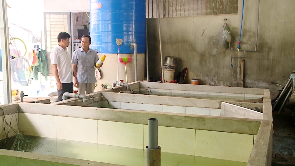 tim huong di moi sau khi huong che do tu nghi dinh 178 hinh anh 3
