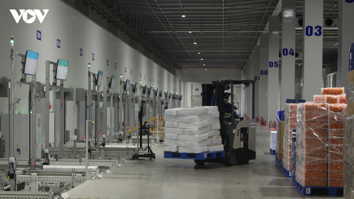 kho lanh cho thua cho thieu va bai toan logistics xuat khau nong san hinh anh 1
