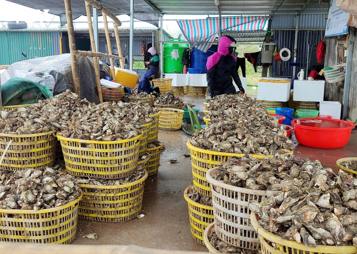 xuan moi o dac khu van Don, quang ninh hinh anh 3