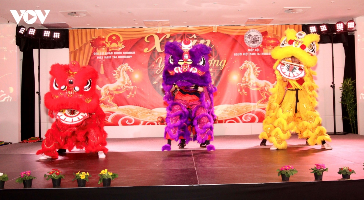 tung bung tet cong dong cua nguoi viet tai hungary hinh anh 2