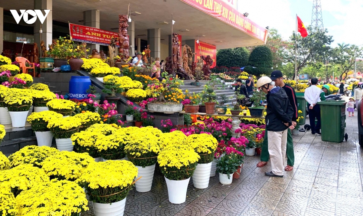 cho hoa xuan o hue, hoa cuc mat mua duoc gia hinh anh 1