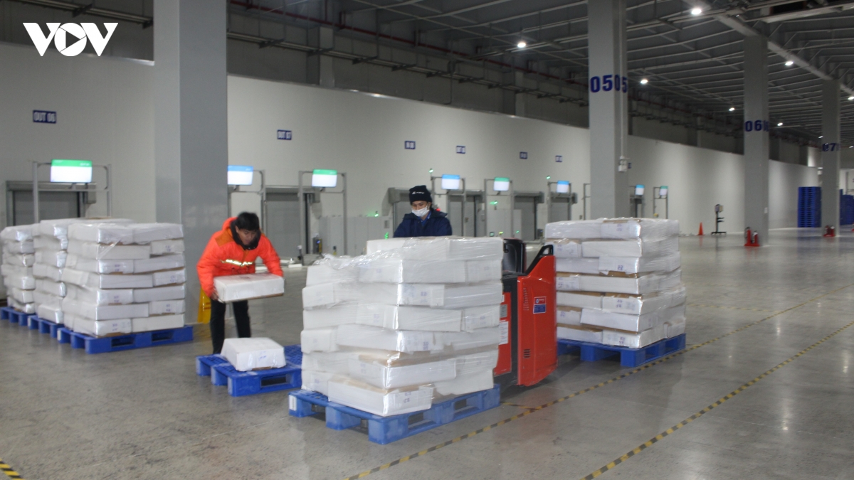 kho lanh cho thua cho thieu va bai toan logistics xuat khau nong san hinh anh 3