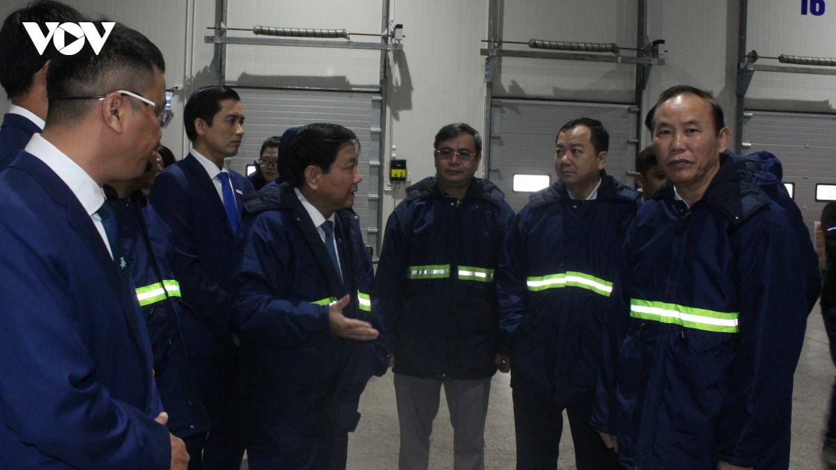 kho lanh cho thua cho thieu va bai toan logistics xuat khau nong san hinh anh 4