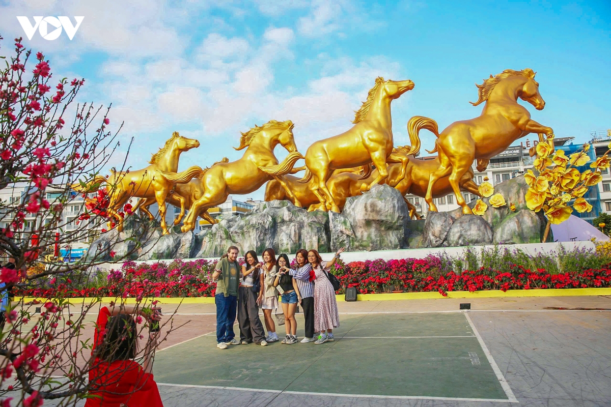 check-in bat ma khong lo giua dai lo hoa ben vinh ha long hinh anh 3