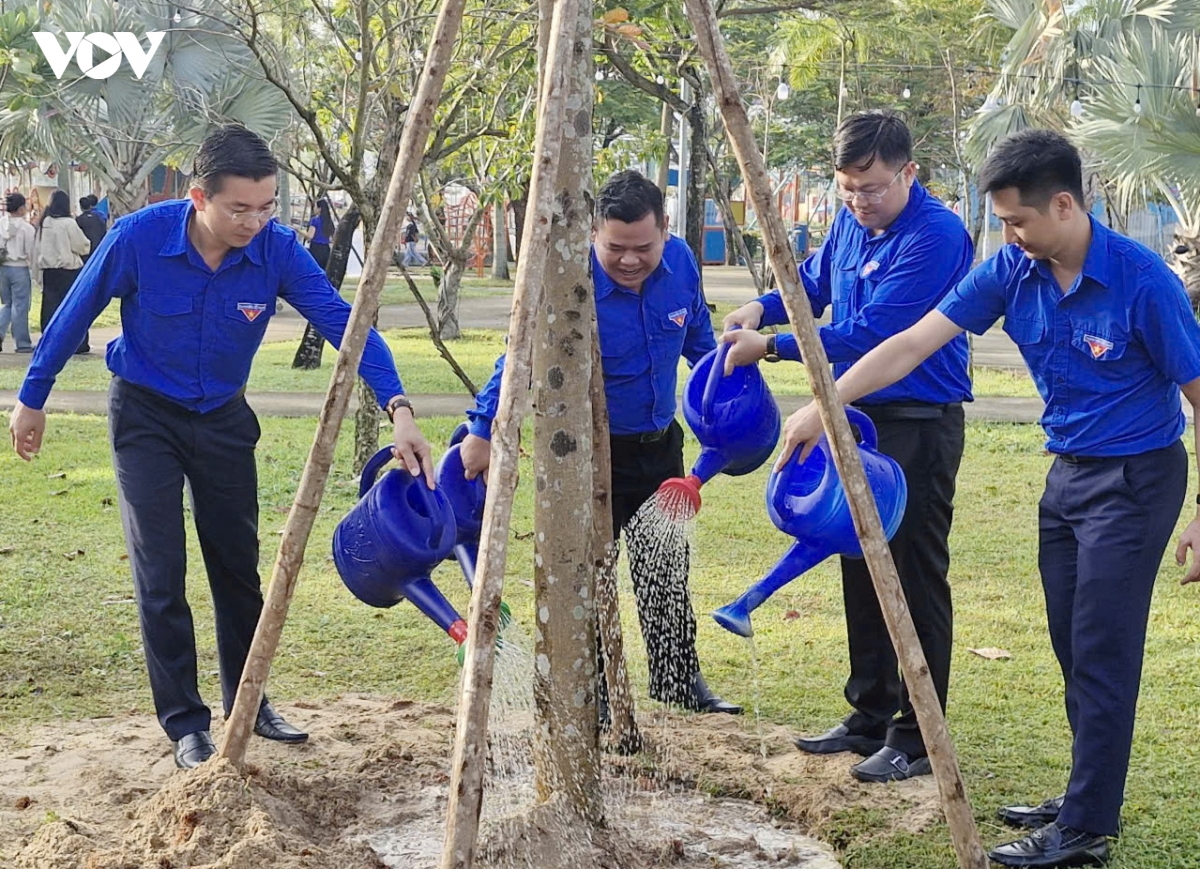 tuoi tre Da nang ra quan huong ung thang thanh nien nam 2026 hinh anh 3