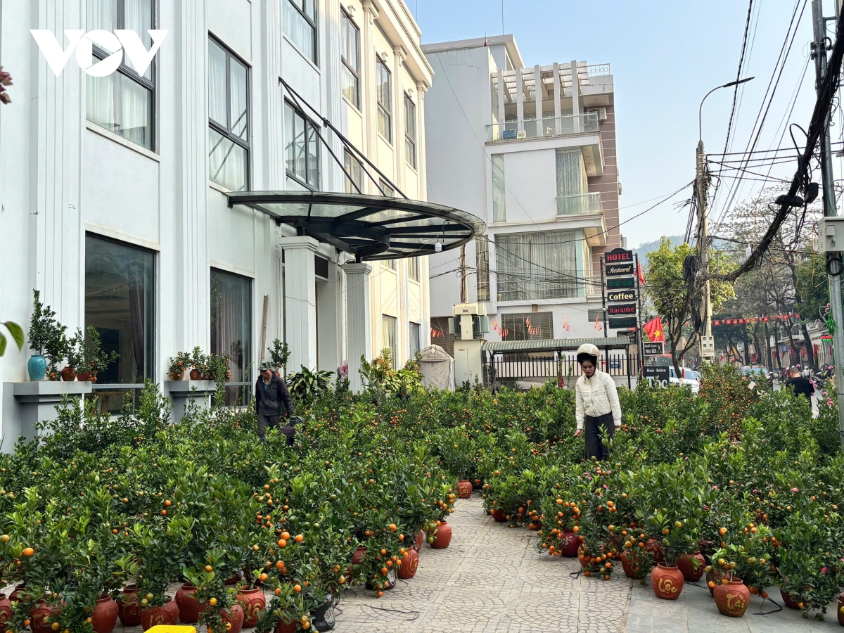 son la tang cuong kiem soat thi truong ngay giap tet hinh anh 5