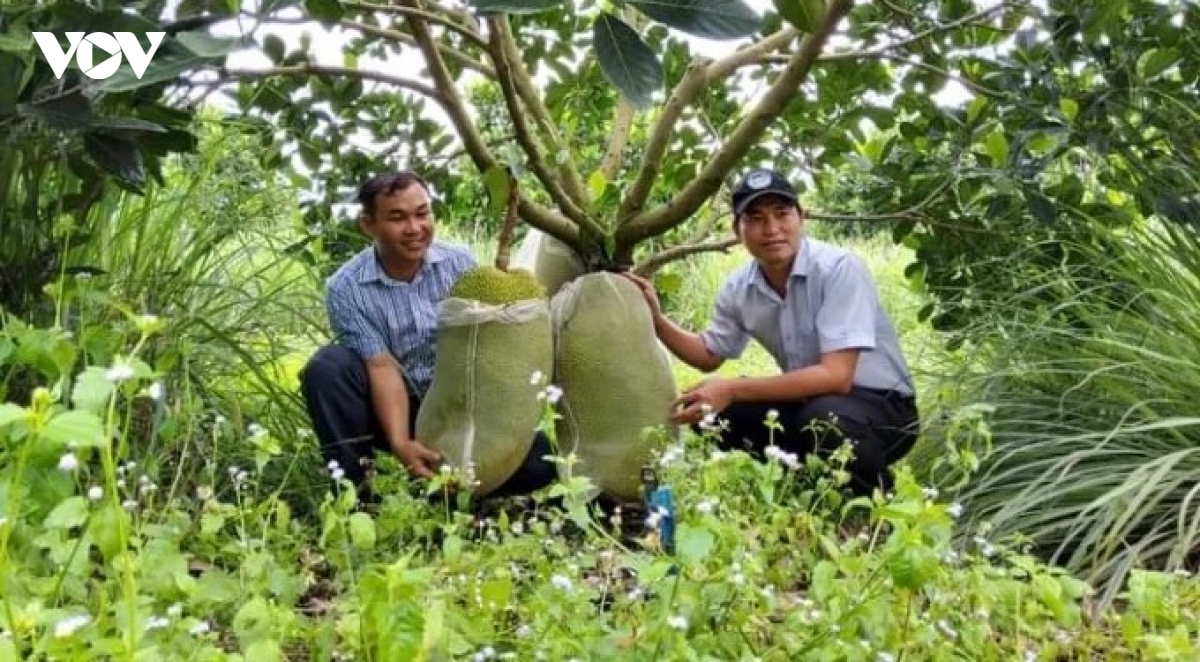 doanh nghiep nong nghiep truoc diem nghen chinh sach va ha tang hinh anh 1