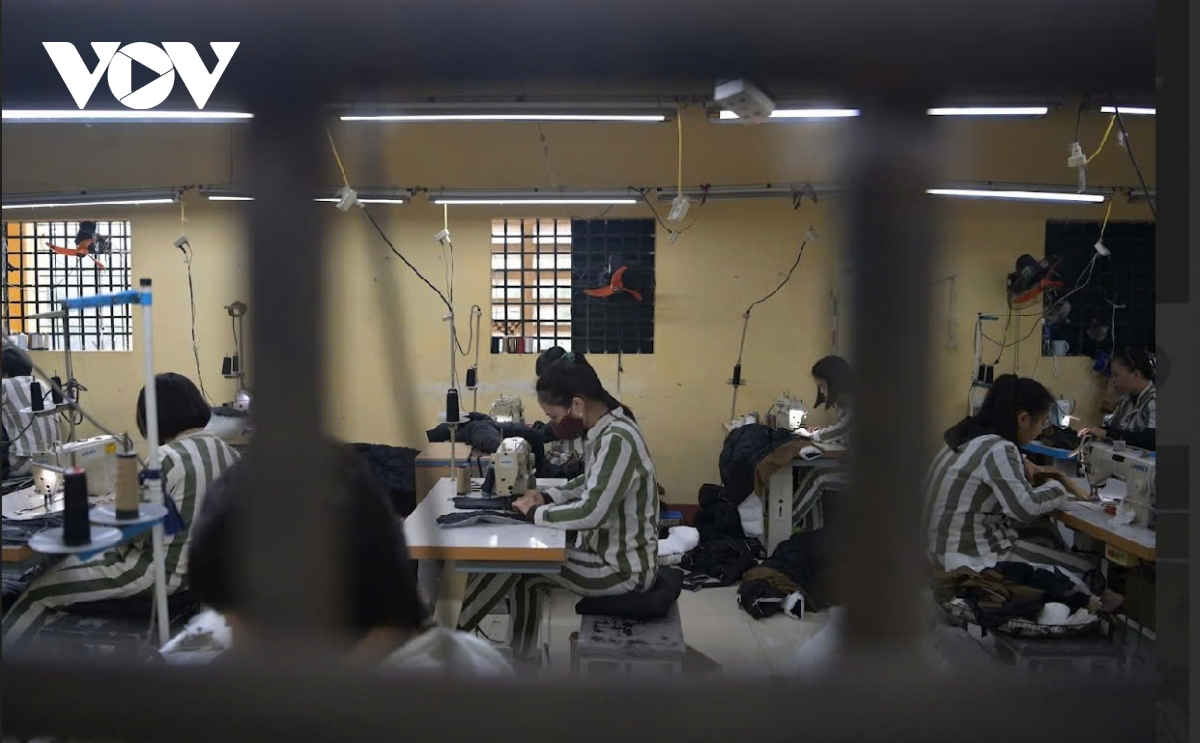 Vụ án chiếm đoạt hơn 400 tỷ đồng và lời xin lỗi nghẹn ngào của nữ phạm nhân