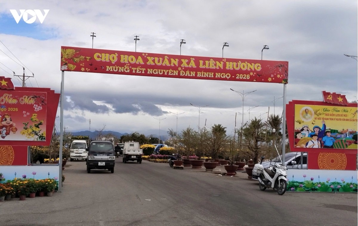 ron rang khong khi tet o vung bien lam Dong hinh anh 4