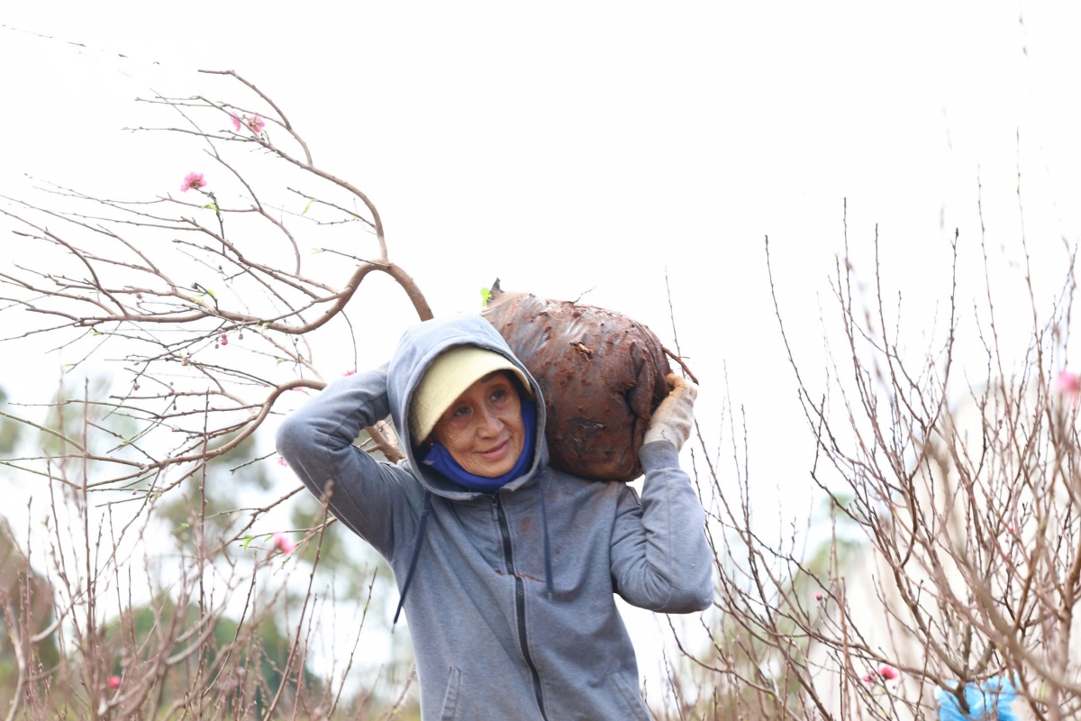 Sắc đào thắm trên đất cao nguyên Đắk Lắk