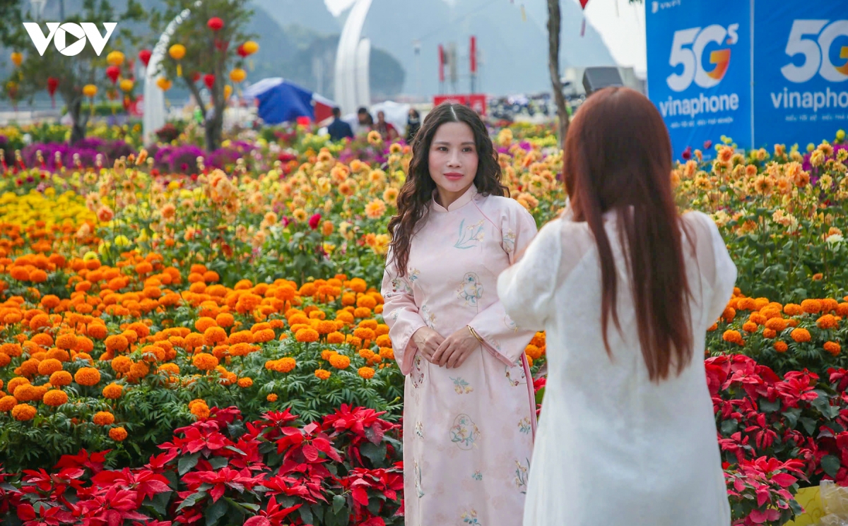 check-in bat ma khong lo giua dai lo hoa ben vinh ha long hinh anh 7