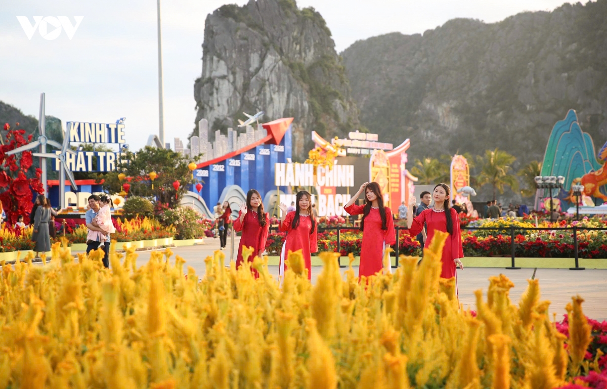 check-in bat ma khong lo giua dai lo hoa ben vinh ha long hinh anh 9