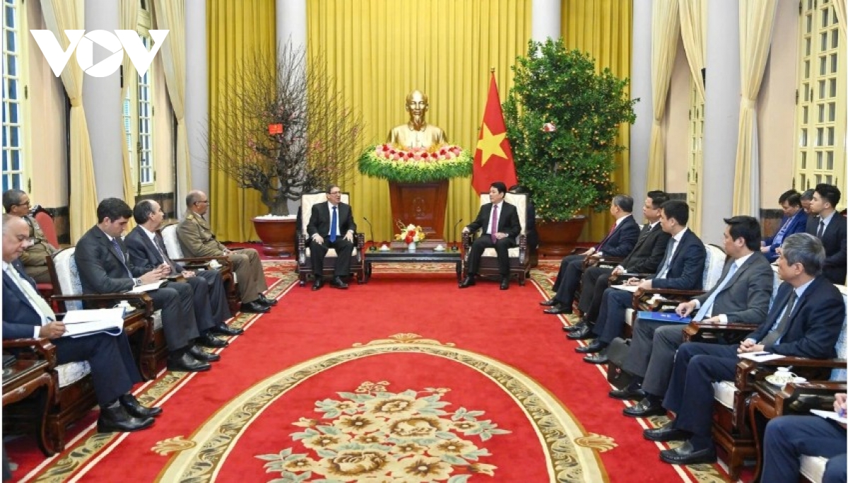 vietnam always stands shoulder to shoulder with cuba president luong cuong picture 2