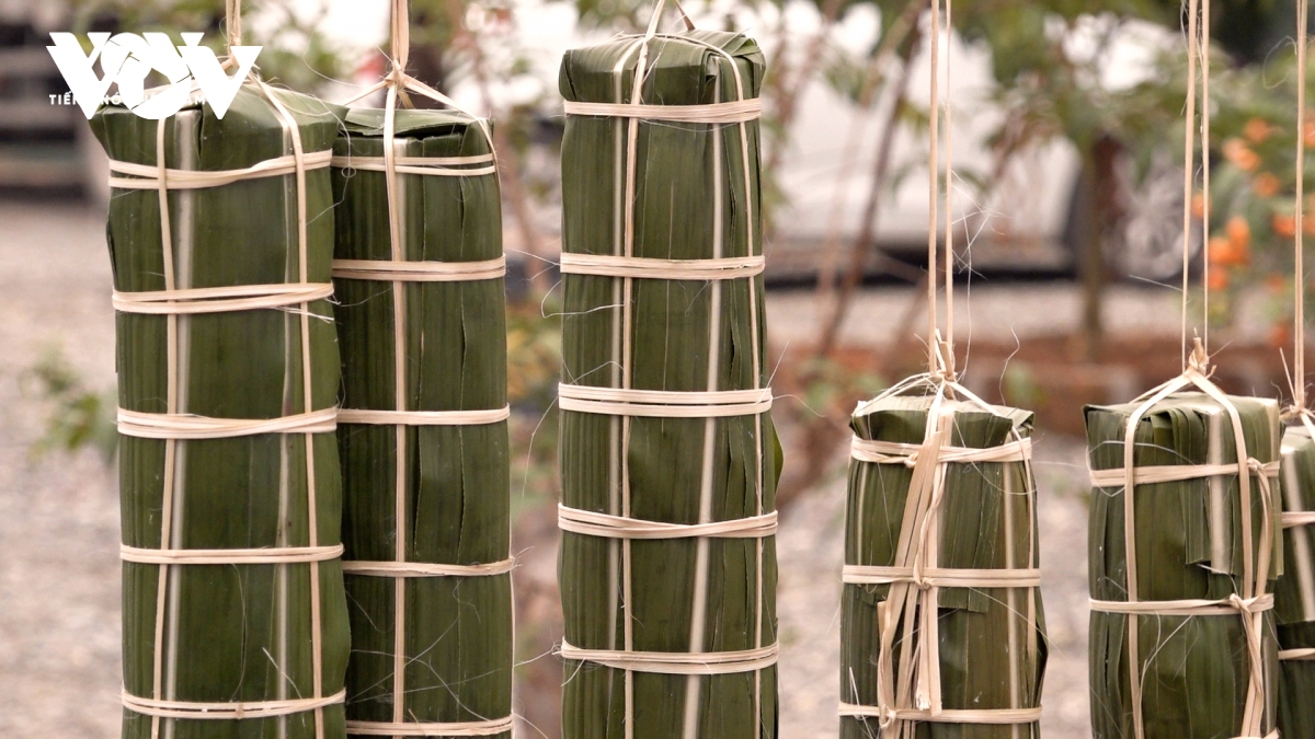 Lá mía lên đời thành “vàng Tết”