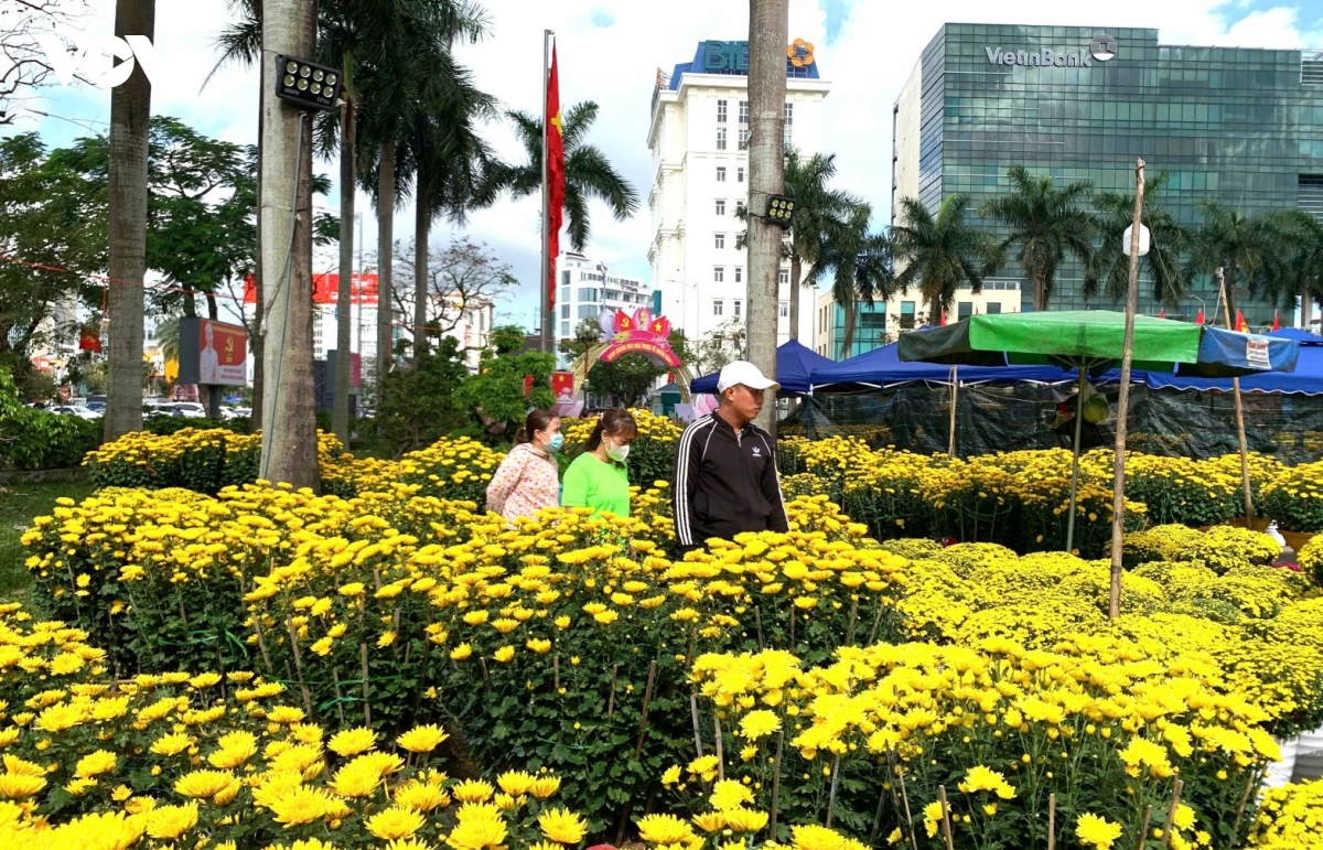 cho hoa xuan o hue, hoa cuc mat mua duoc gia hinh anh 2