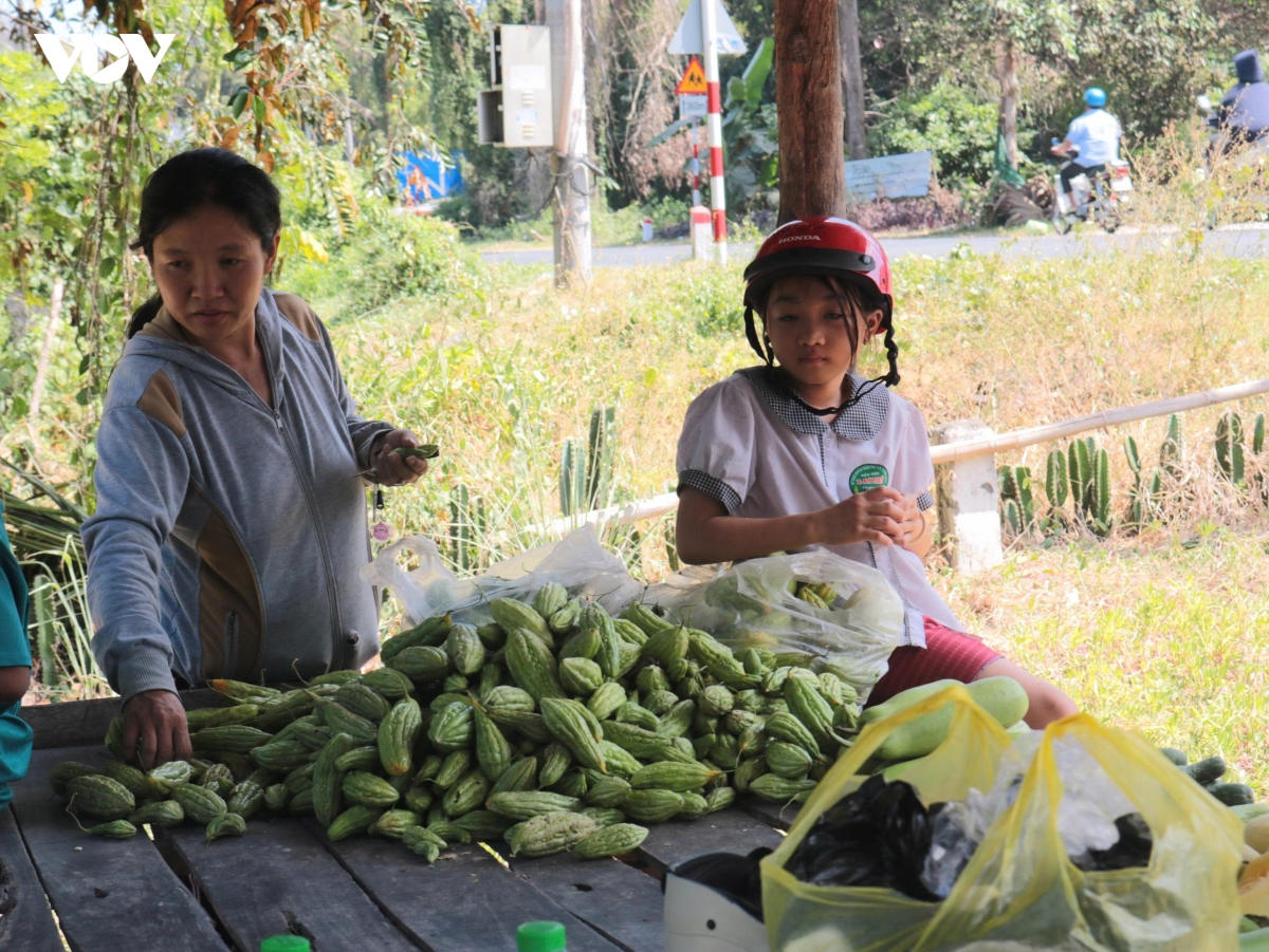 an giang ra mat mo hinh gian hang 0 dong va trao nha tinh thuong hinh anh 3