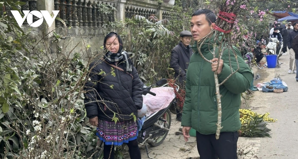 bac ha market comes alive ahead of tet with wild peaches and white plums picture 10