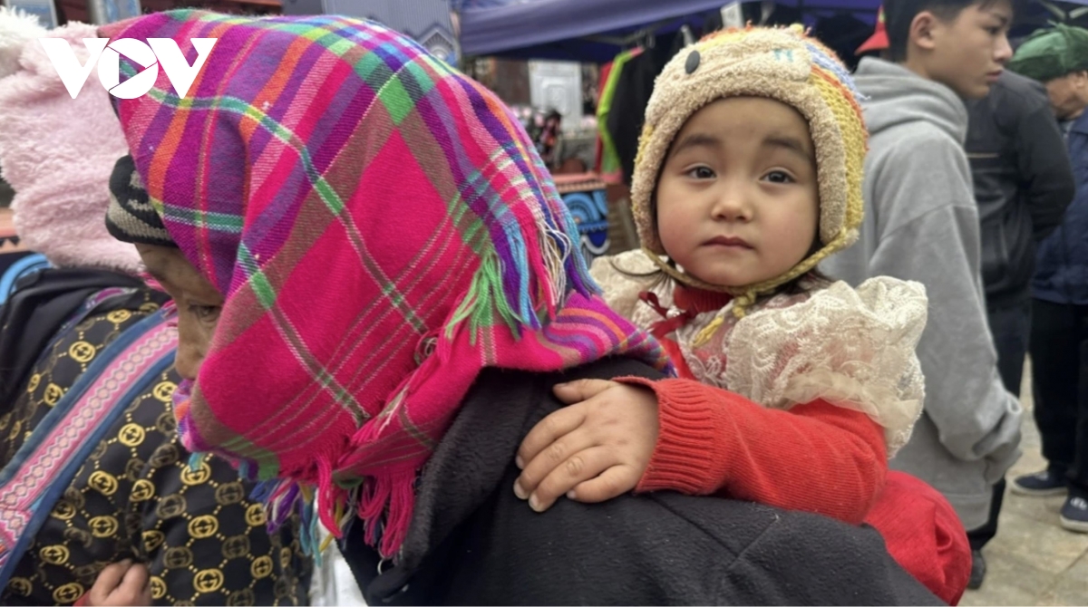 bac ha market comes alive ahead of tet with wild peaches and white plums picture 11