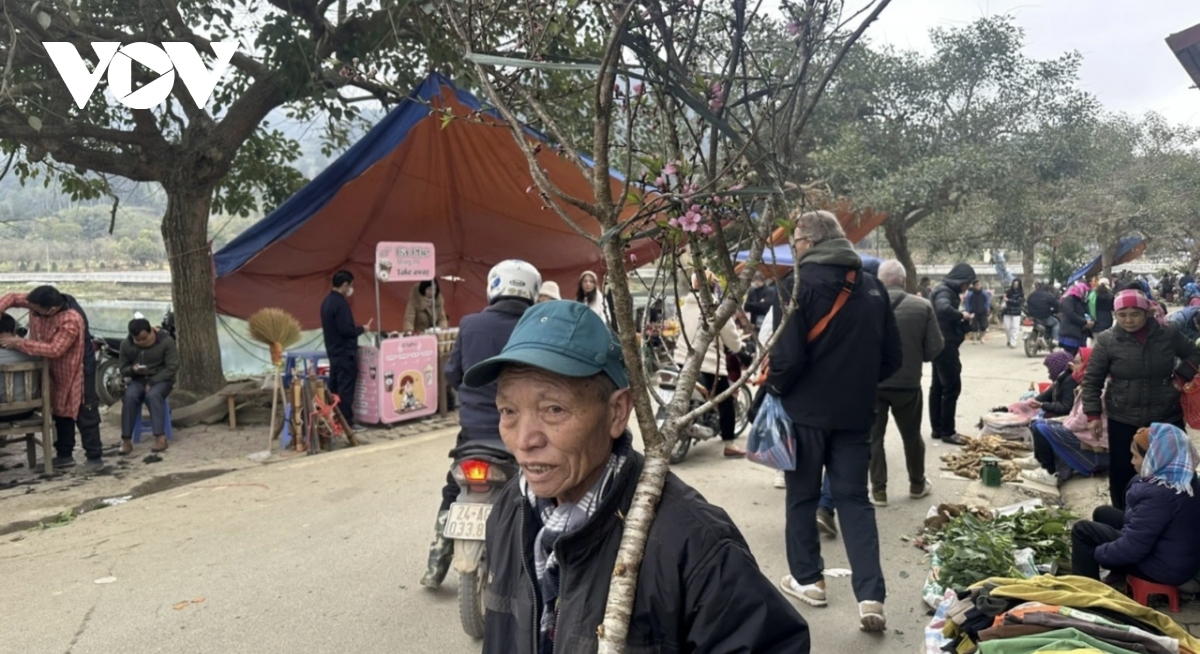 bac ha market comes alive ahead of tet with wild peaches and white plums picture 13