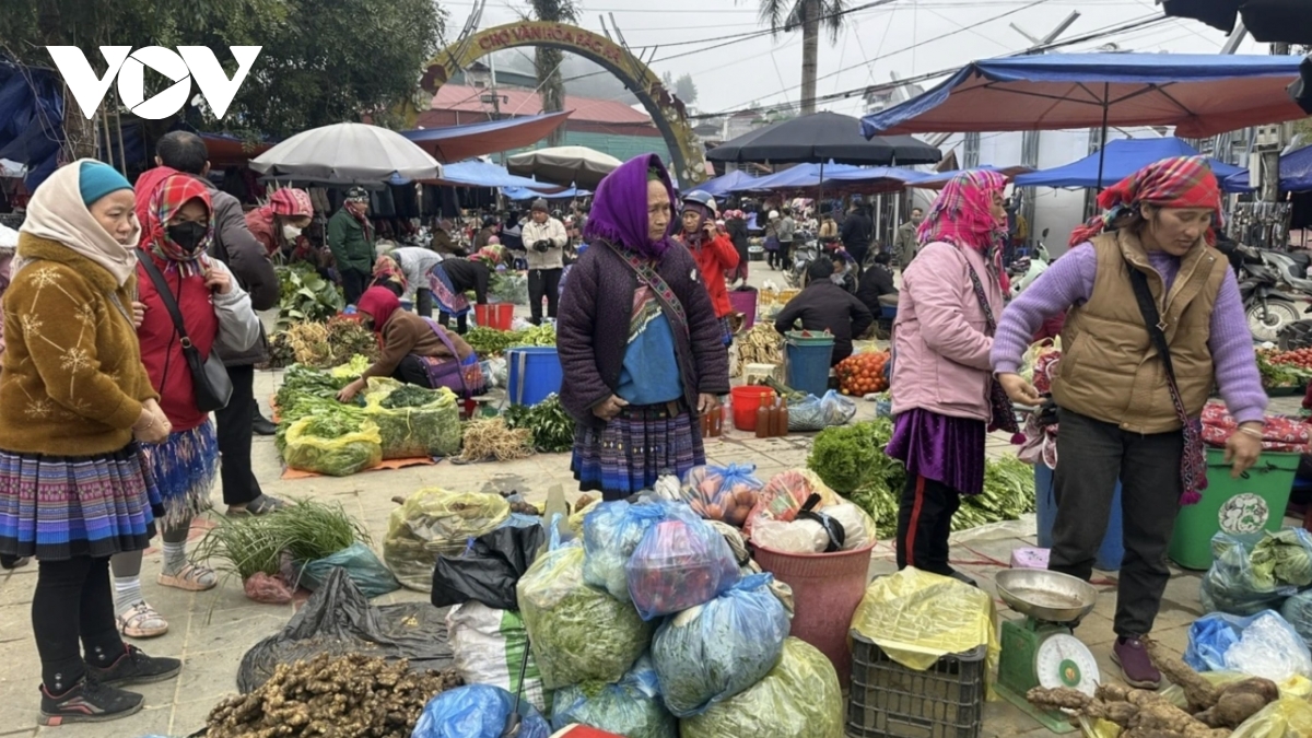 bac ha market comes alive ahead of tet with wild peaches and white plums picture 2