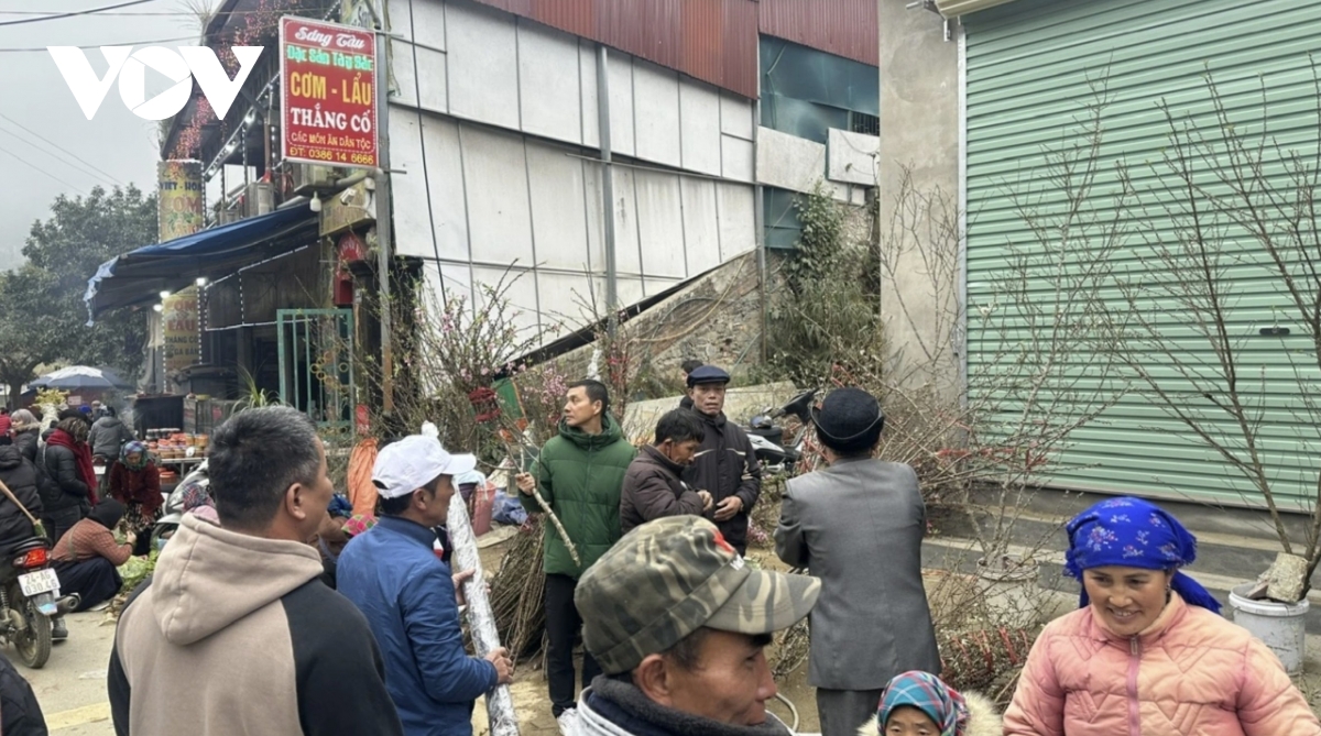 bac ha market comes alive ahead of tet with wild peaches and white plums picture 6
