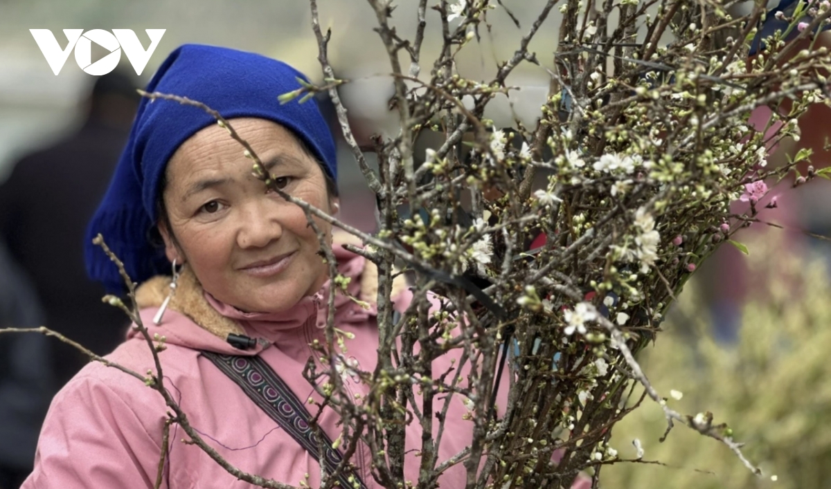 bac ha market comes alive ahead of tet with wild peaches and white plums picture 8