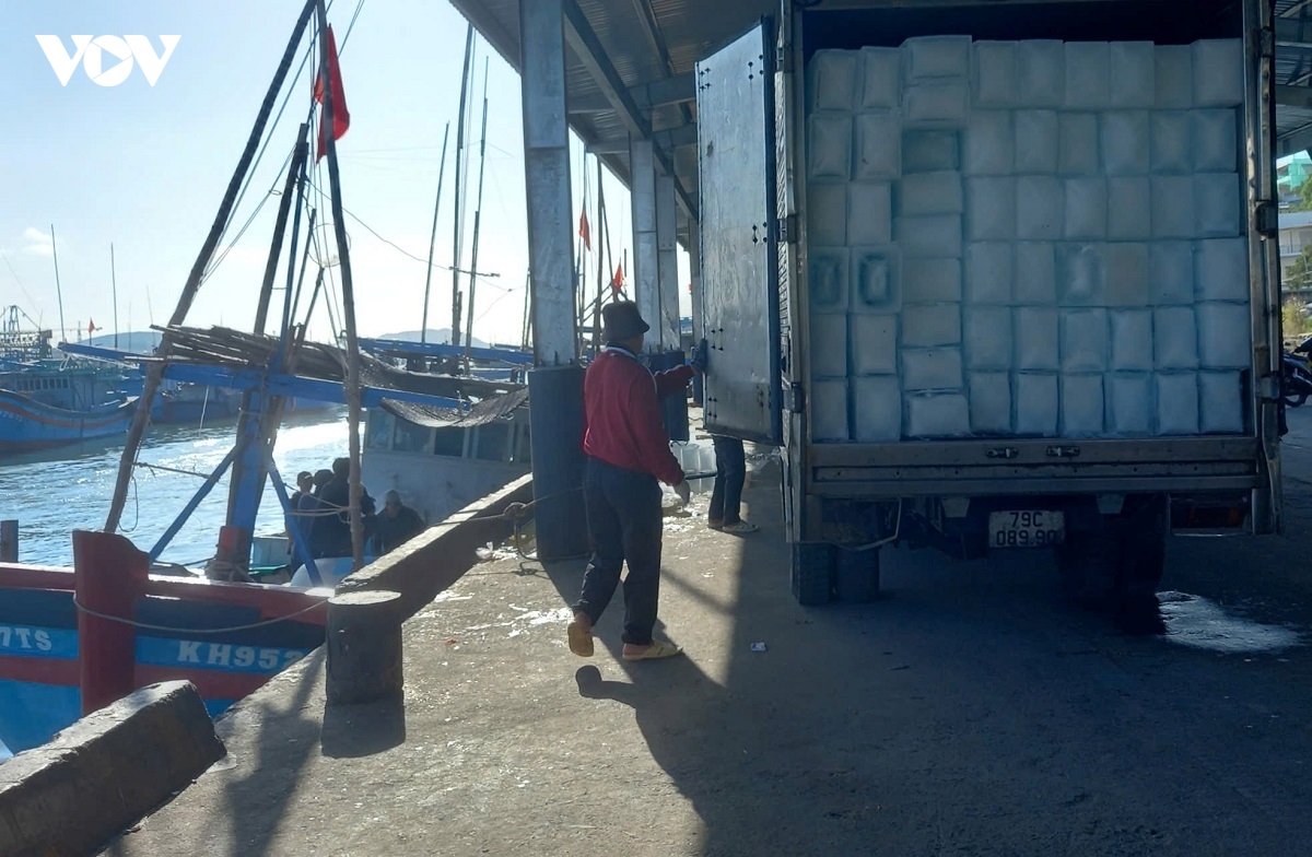vuon khoi dau nam, ngu dan khanh hoa quyet tam lam nghe dung luat, chong iuu hinh anh 2