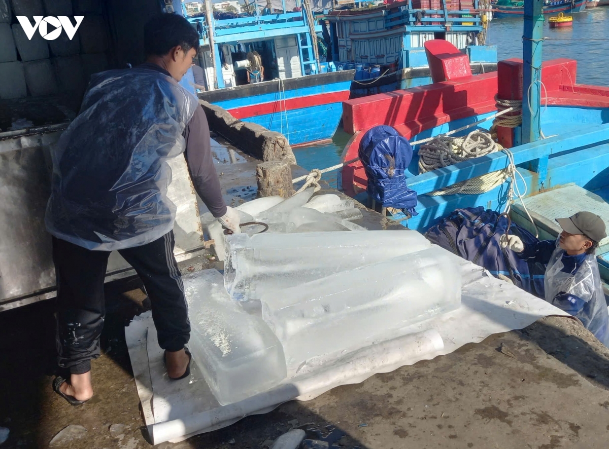 vuon khoi dau nam, ngu dan khanh hoa quyet tam lam nghe dung luat, chong iuu hinh anh 5