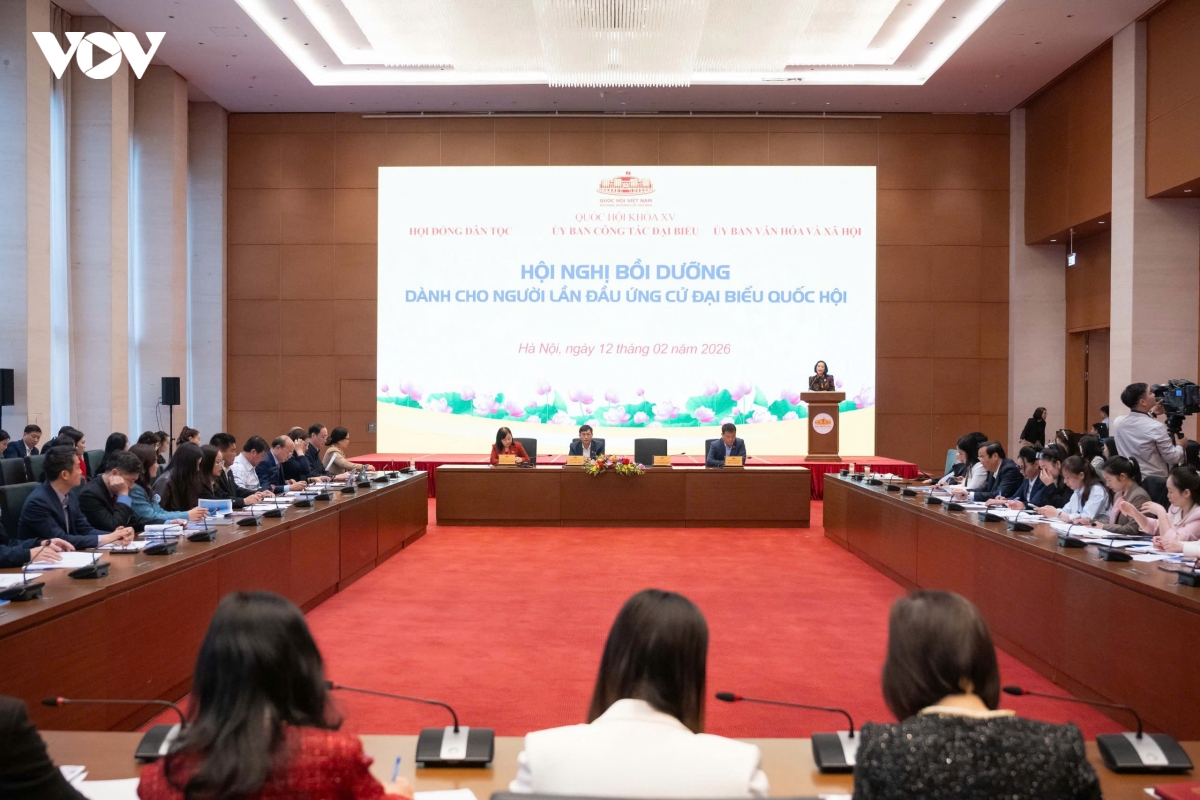 hoi nghi boi duong danh cho nguoi lan dau ung cu dai bieu quoc hoi hinh anh 2