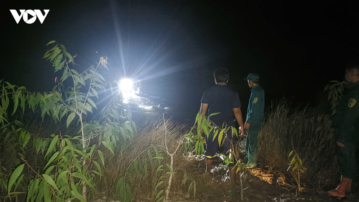 kip thoi dap tat dam chay trong khu bao ton loai - sinh canh phu my, an giang hinh anh 1