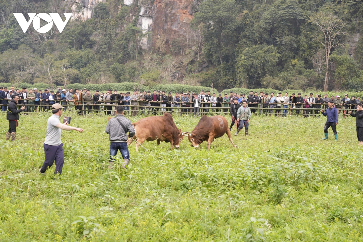 le hoi long tong khoi dau xuan moi cua dong bao vung ho ba be hinh anh 6